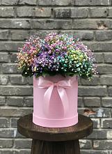 Цветочная композиция из Гипсофила и Розы в шляпной коробке #REPLACE_PRED# Палласовке