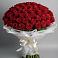 Букет 101 Красная роза Блэк Мэджик в Палласовке