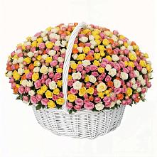 Премиум букет из: Розы в Палласовке