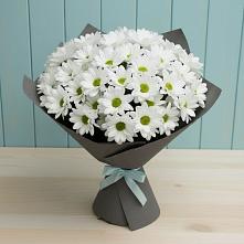 Букет цветов из:  Хризантемы в Палласовке