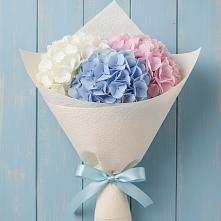 Букет цветов из:  Гортензия в Палласовке