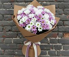 Букет цветов из:  Хризантемы в Палласовке