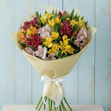 Букет цветов из:  Альстромерии в Палласовке