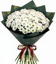 Букет цветов из:  Хризантемы #REPLACE_PRED# Палласовке