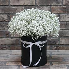 Цветочная композиция из Гипсофила в шляпной коробке #REPLACE_PRED# Палласовке