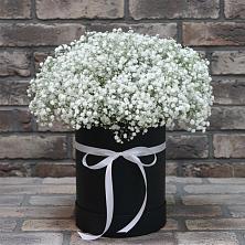 Цветочная композиция из Гипсофила в шляпной коробке в Палласовке