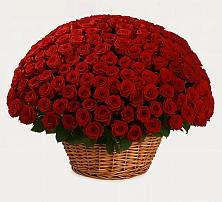 Премиум букет из: Розы в Палласовке